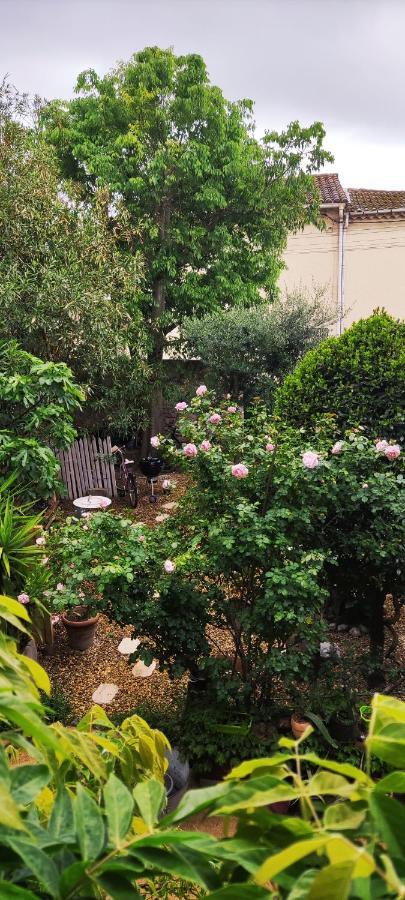 Villa Fontilha Usclas-l'Herault Екстериор снимка