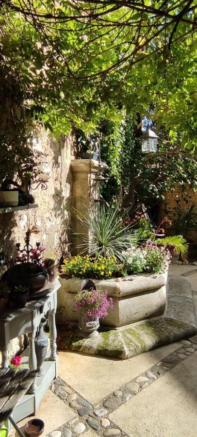 Villa Fontilha Usclas-l'Herault Екстериор снимка